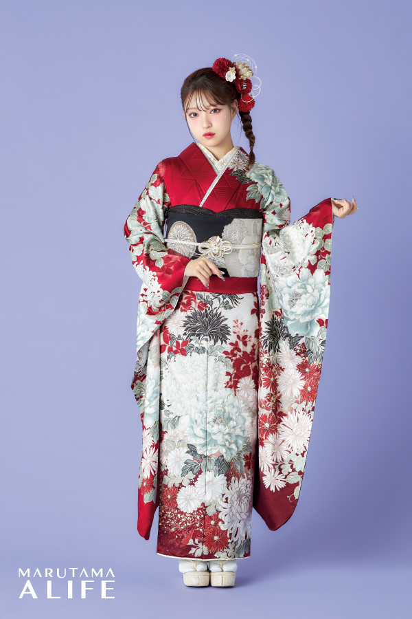 赤・白・水色・黒に菊と牡丹が描かれた華やかな古典振袖